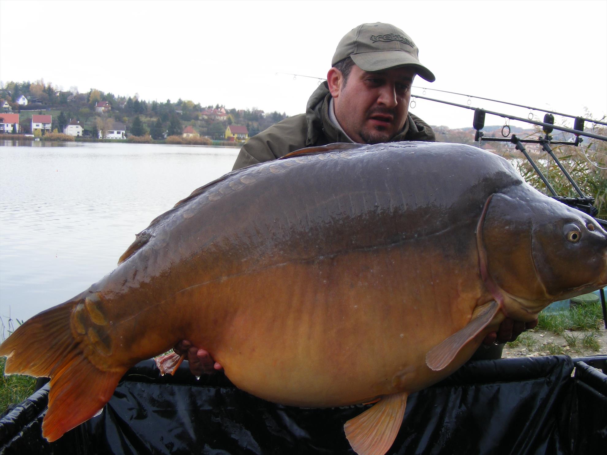 Harsany noiembrie 2013 - image11111.jpg